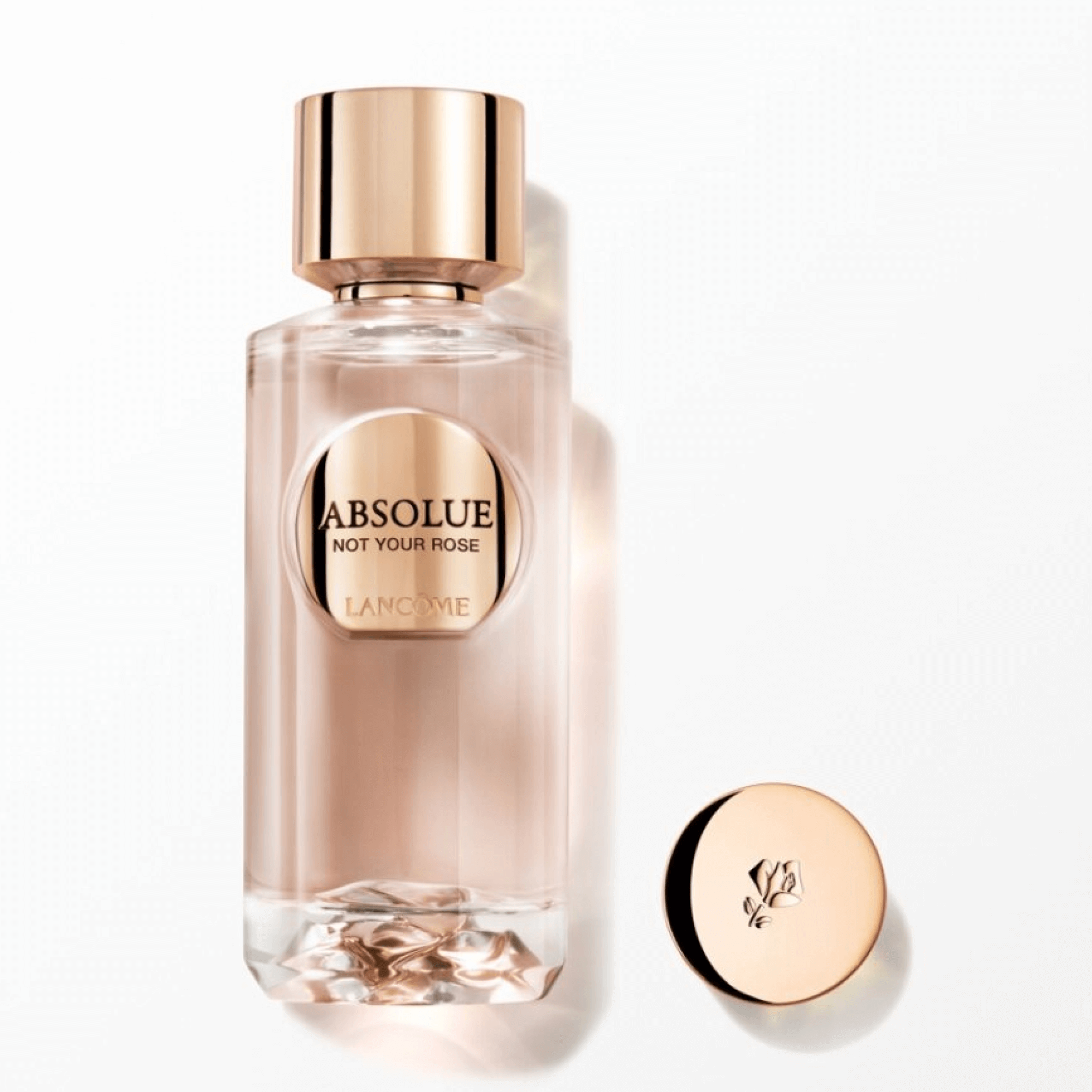 Absolue Les Parfums Not Your Rose: descrizione e prezzo | Lancôme