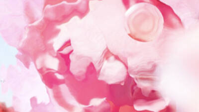 [Ingrediente visivo - ritaglio del fiore di rosa]
