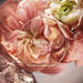 1001 ROSES