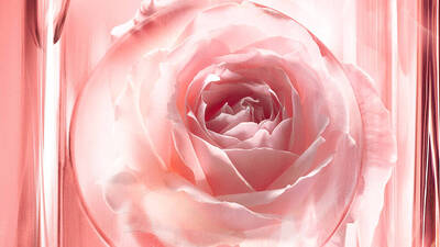 ESSENZA DI PETALI DI ROSA