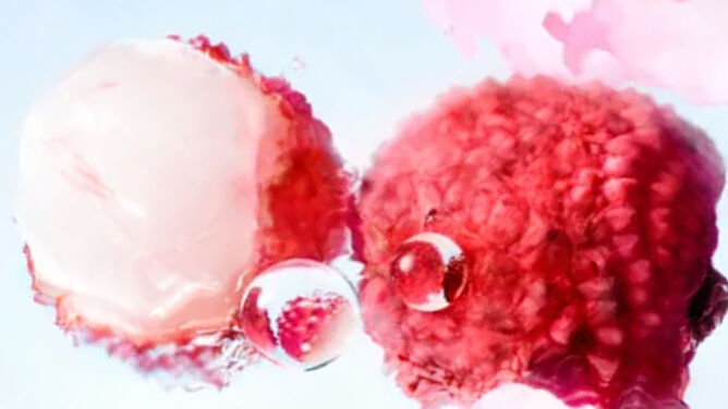 [Ingrediente visivo - ritaglio sui litchi]