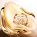 ABSOLUE THE EYE CREAM