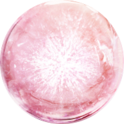 BISABOLOLO BIOTECH