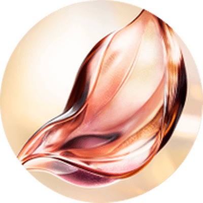 FRAZIONI MOLECOLARI DI ABSOLUE PERPETUAL ROSE™ ESCLUSIVE E BREVETTATE