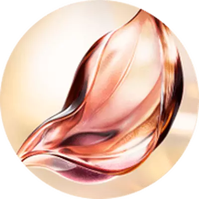 FRAZIONI MOLECOLARI DI ABSOLUE PERPETUAL ROSE™ ESCLUSIVE E BREVETTATE