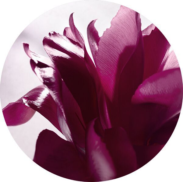 ESSENZA DI CUORE DI ROSA