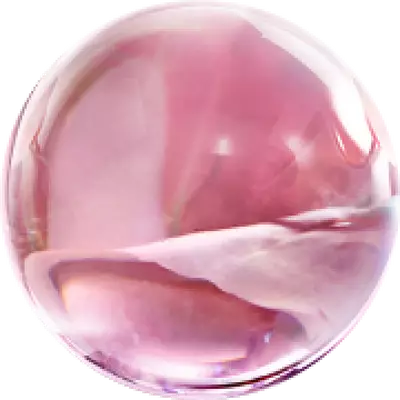 ESTRATTO DI ROSA CENTIFOLIA