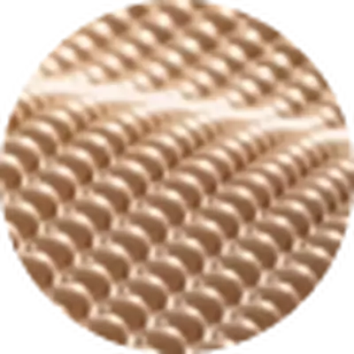 Vitamina E