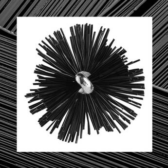 A stylized, abstract black flower-like shape made of numerous thin black strands radiating from a central metallic sphere. The background is white with a textured black overlay.