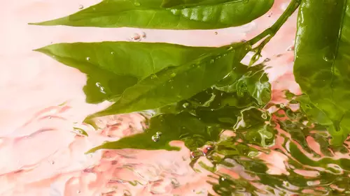 Visual beauty fragranze fresche Lancome