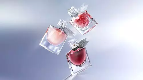 FRAGRANCE FINDER | Trova la tua fragranza