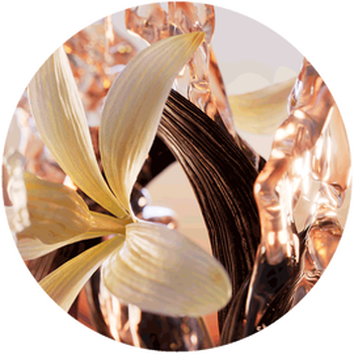 Fioritura delicate di un'orchidea gialla tra riflessi metallici e texture fluidi in un'immagine artistica.