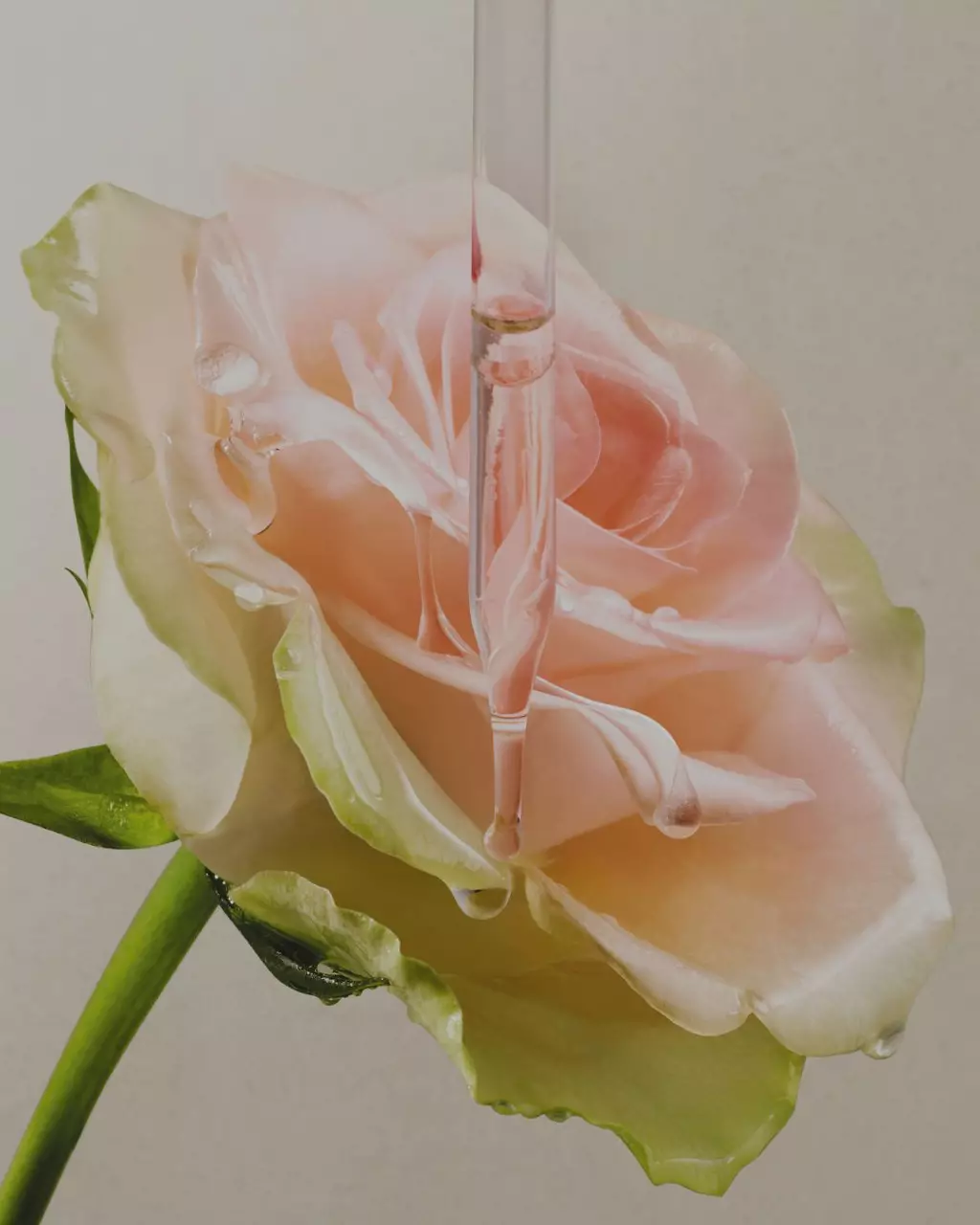 Gli Impegni di Lancome