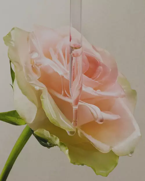 Impegni Lancome
