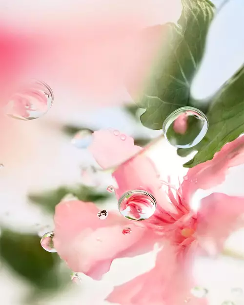 Illustrazione per le FAQ Lancome