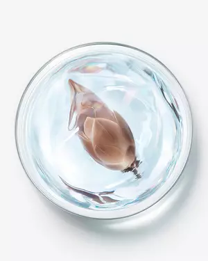 Illustrazione per la scienza skincare avanzata