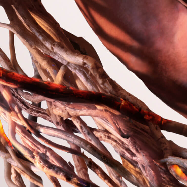 Dettaglio artistico di radici intrecciate con tonalita calde di rosso e marrone su sfondo chiaro.