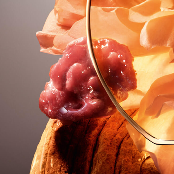 Un anello elegante appoggiato su una rosa, con un oggetto organico e lucido che spicca in primo piano.