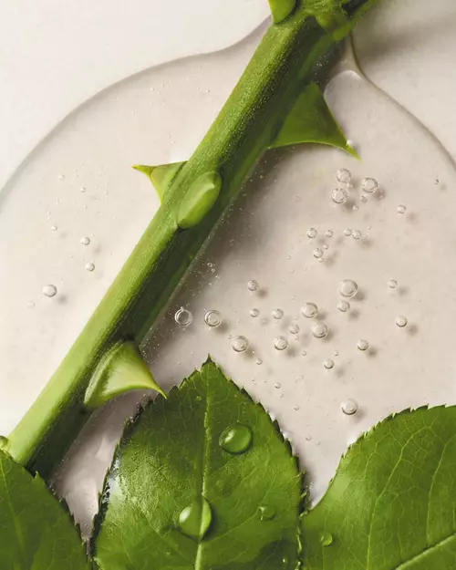 Estratto verde di Lancome