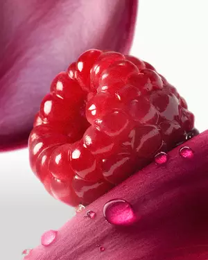 Illustrazione di fragranza fruttata Lancome