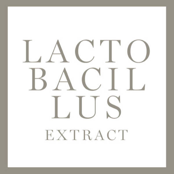 Alt text: "Nome 'Lactobacillus Extract' su uno sfondo bianco con un contorno grigio."