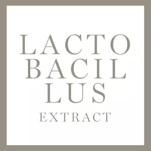 Alt text: "Nome 'Lactobacillus Extract' su uno sfondo bianco con un contorno grigio."