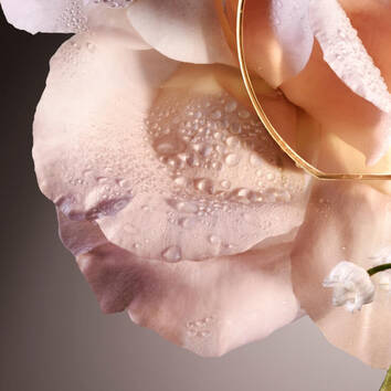 Rosa delicata con gocce d'acqua e una piccola rosa bianca, inquadrata elegantemente con un anello dorato.