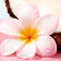 [ingredient visual - cropping on coconut]