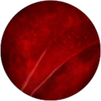 Sfera di colore rosso intenso con texture sfumata, che evoca un'atmosfera misteriosa e intensa.