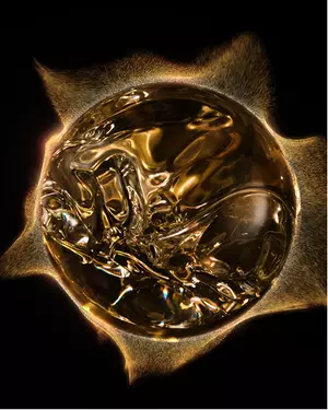 Illustrazione dell'ingrediente Blackbiosis di Lancome
