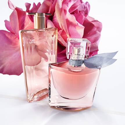 Due flaconi di profumo elegantemente sistemati su uno sfondo bianco, accompagnati da una grande rosa rosa.
