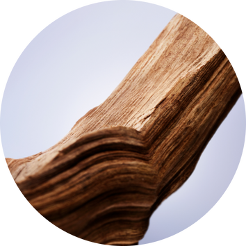 Dettaglio di un legno levigato con texture ondulata, su sfondo sfumato chiaro.