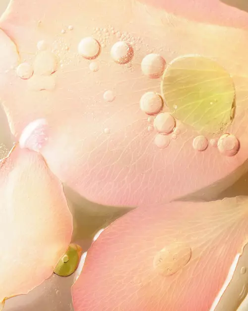 Biotechnologie Lancome
