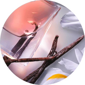 Flacone di profumo rosa con bacchette di vaniglia e fiori bianchi sullo sfondo, evocando freschezza e dolcezza.