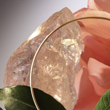 Rosa rosa avvolta da una leggenda di foglie verdi e un cristallo trasparente, illuminata da una luce soffusa.